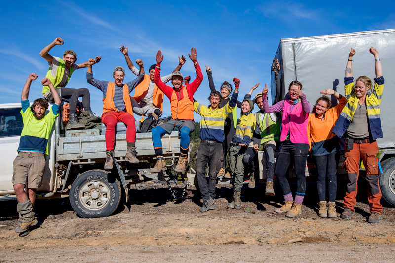 flexible tree planting teams